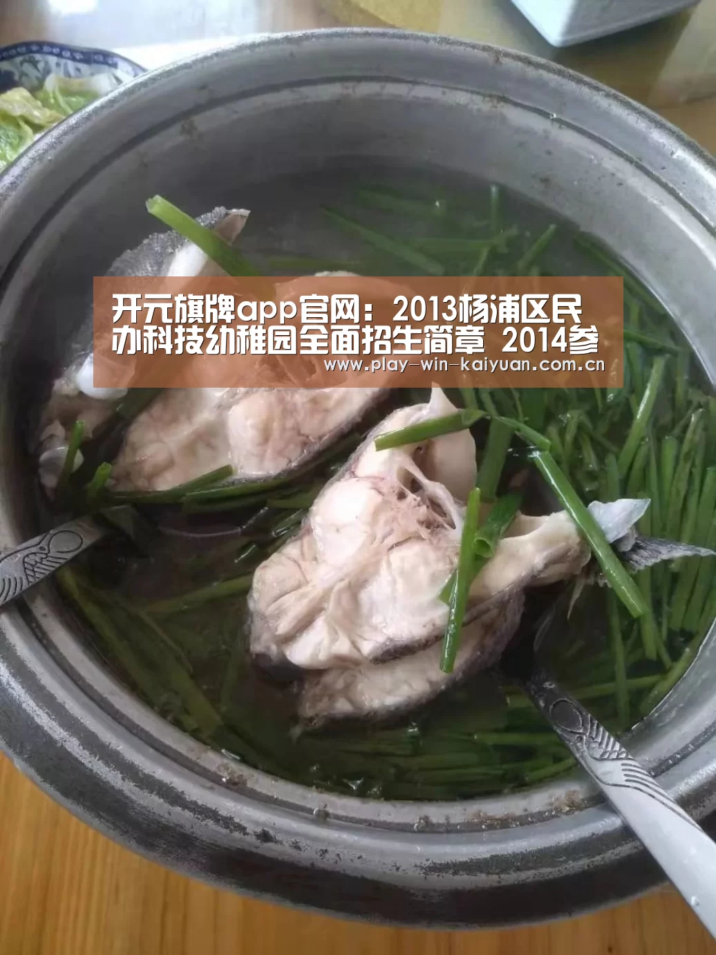 开元旗牌app官网:2013杨浦区民办科技幼稚园全面招生简章 2014参考(图1) 开元旗牌官网